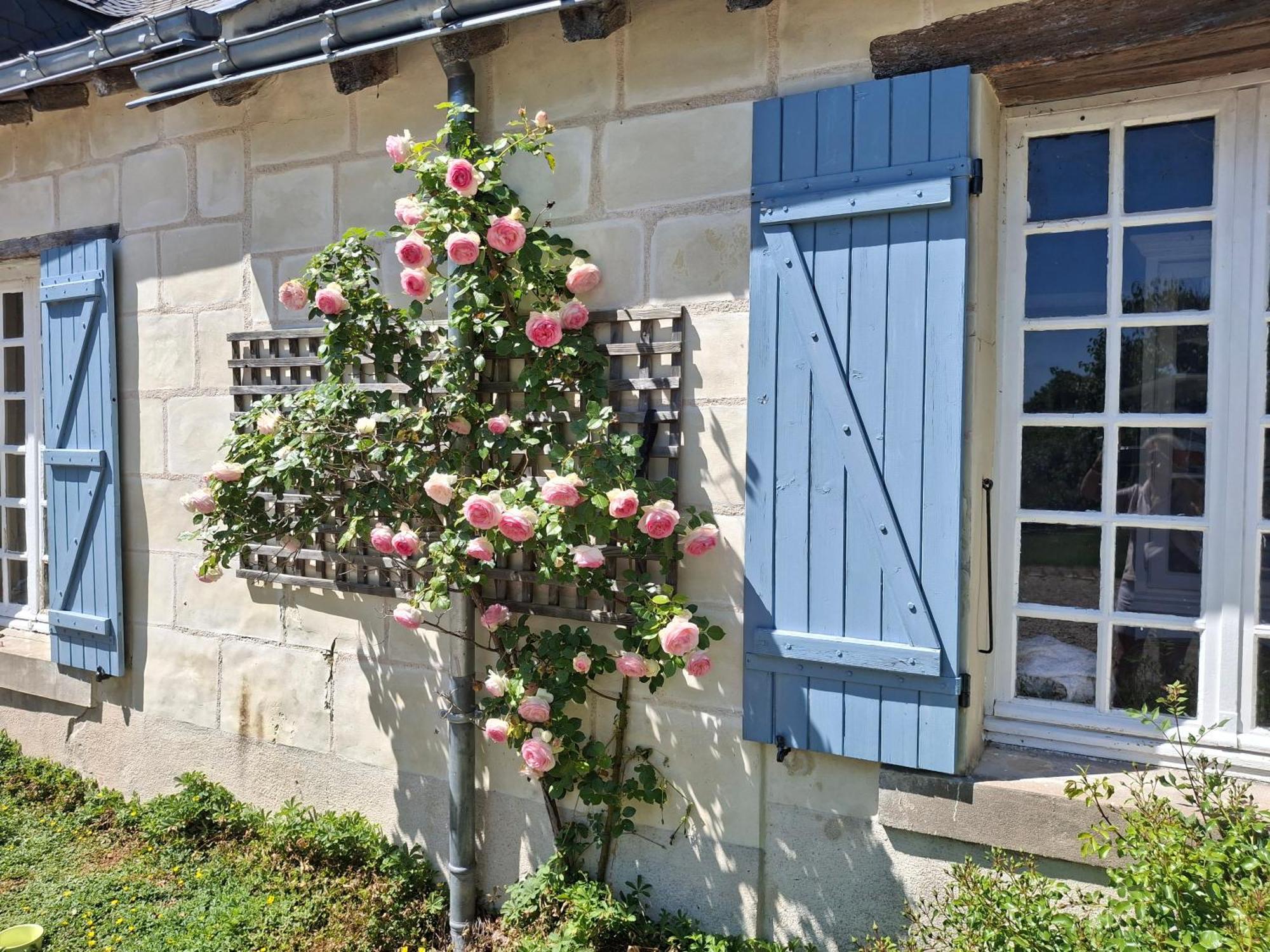 Bed and Breakfast Le Mouton Blaison Esterno foto