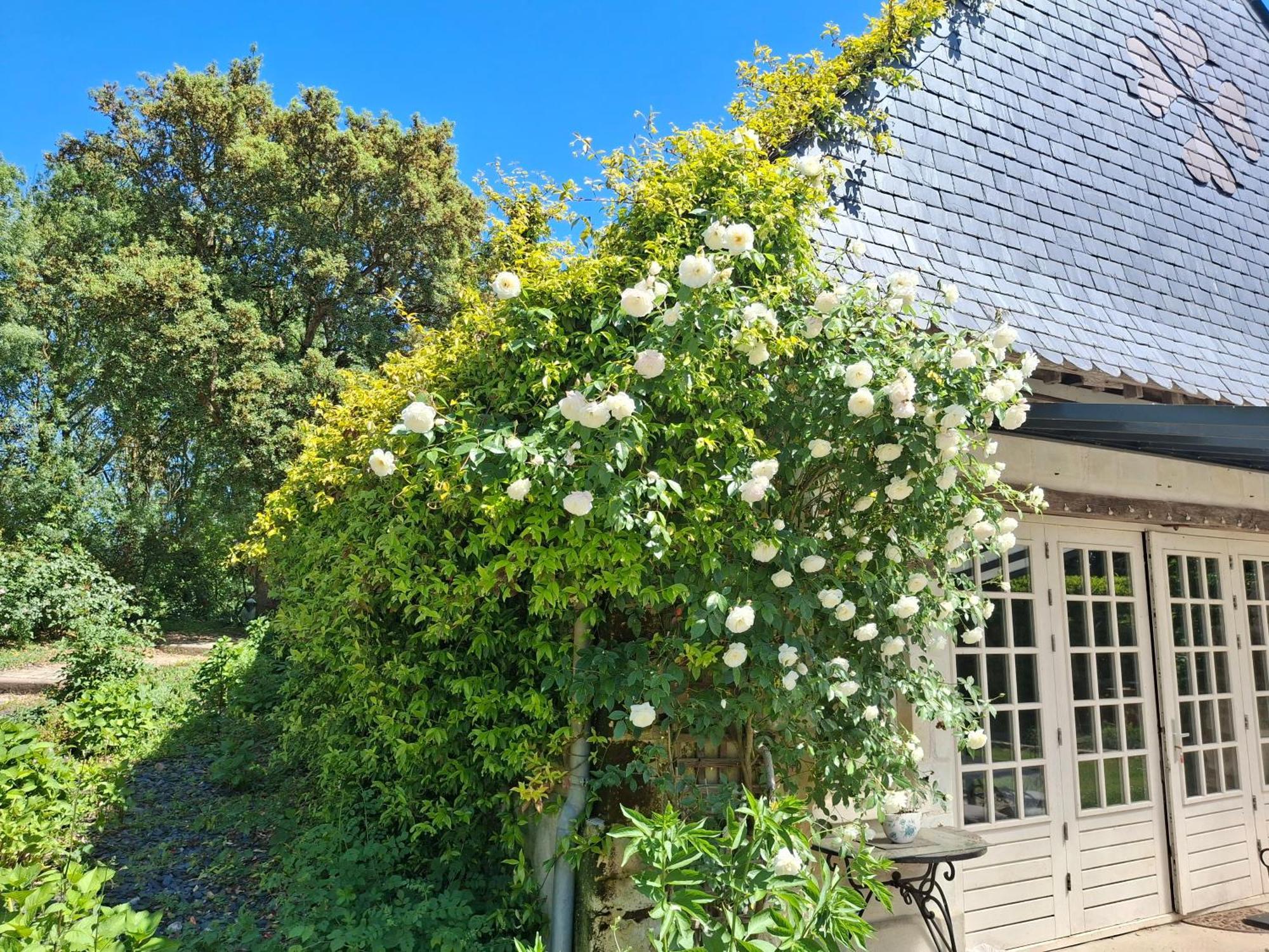 Bed and Breakfast Le Mouton Blaison Esterno foto